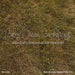 Meet Me in the Meadow Fabric Floor (CC)