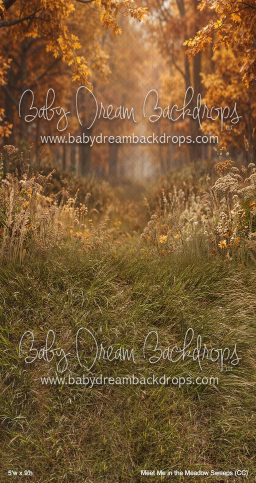 Meet Me in the Meadow Sweeps (CC)