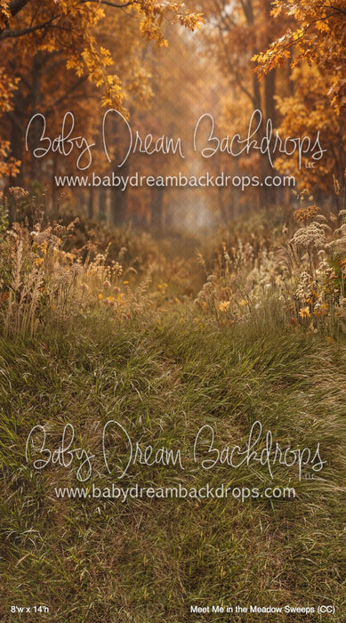 Meet Me in the Meadow Sweeps (CC)