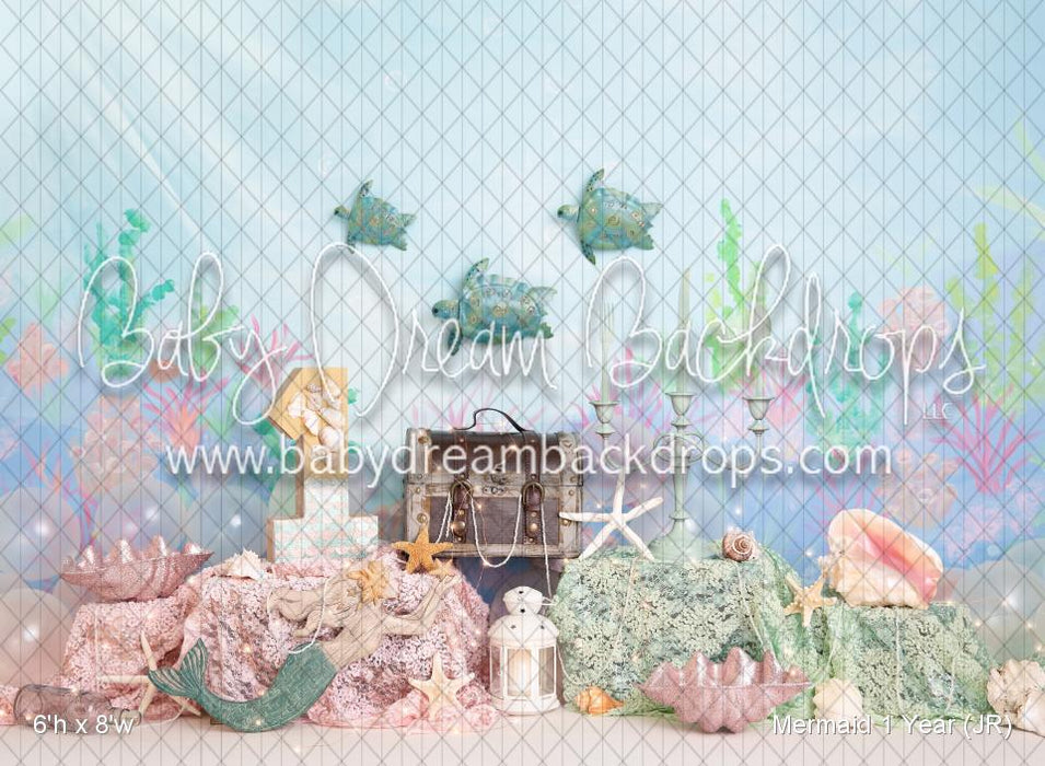 Mermaid 1 Year (JR)