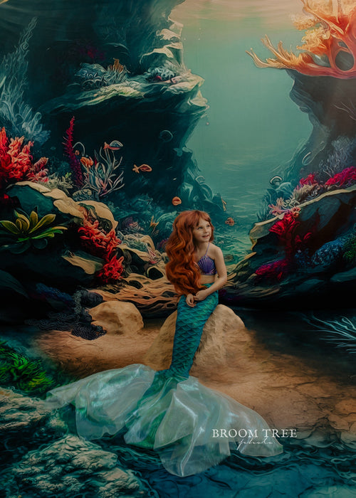 Mermaid Ocean Reef (MD)