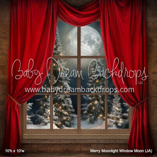 Merry Moonlight Window Moon (JA)