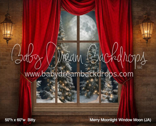 Merry Moonlight Window Moon (JA)