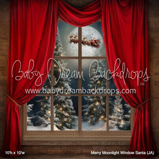 Merry Moonlight Window Santa (JA)