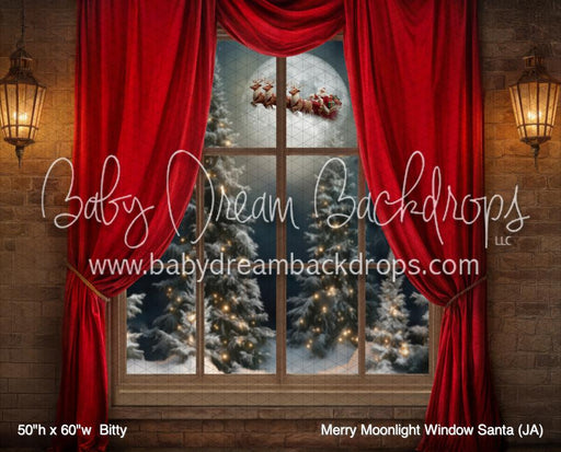 Merry Moonlight Window Santa (JA)
