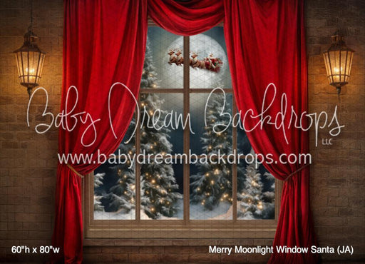 Merry Moonlight Window Santa (JA)