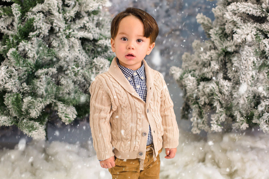 Christmas Trees in Snow with Lights (VR)