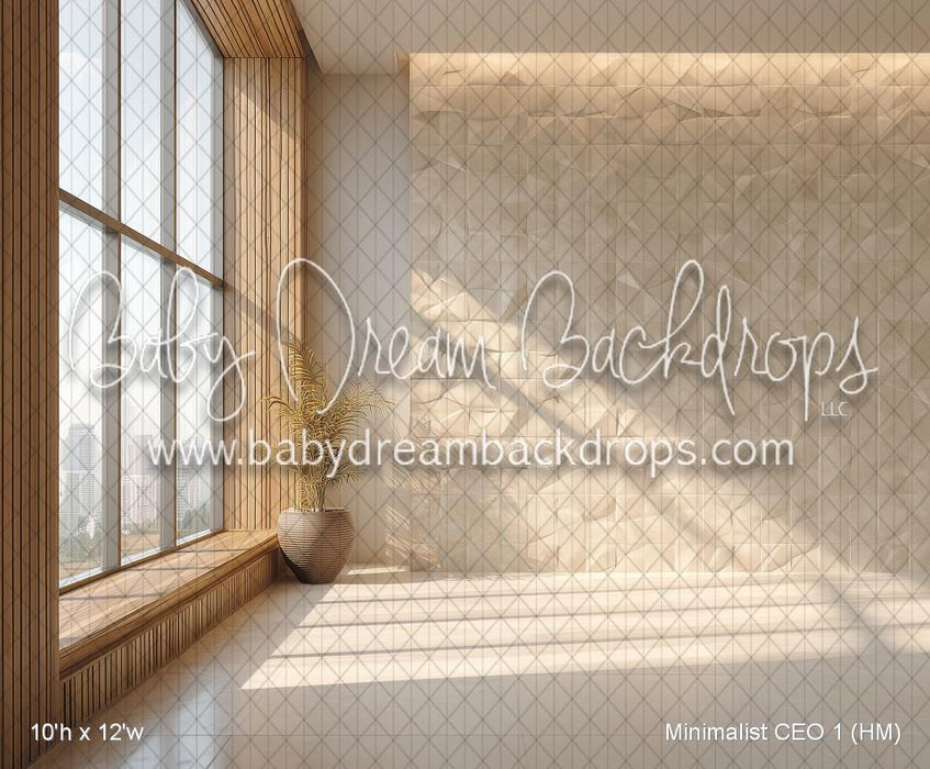 Minimalist CEO 1 (HM)