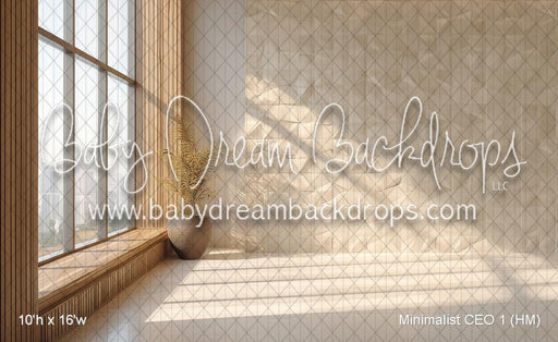 Minimalist CEO 1 (HM)