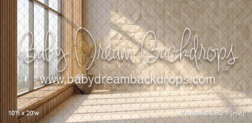 Minimalist CEO 1 (HM)