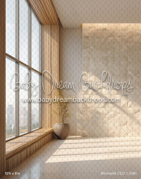 Minimalist CEO 1 (HM)