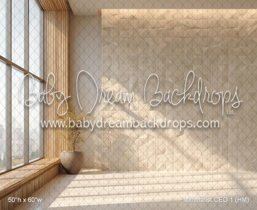 Minimalist CEO 1 (HM)