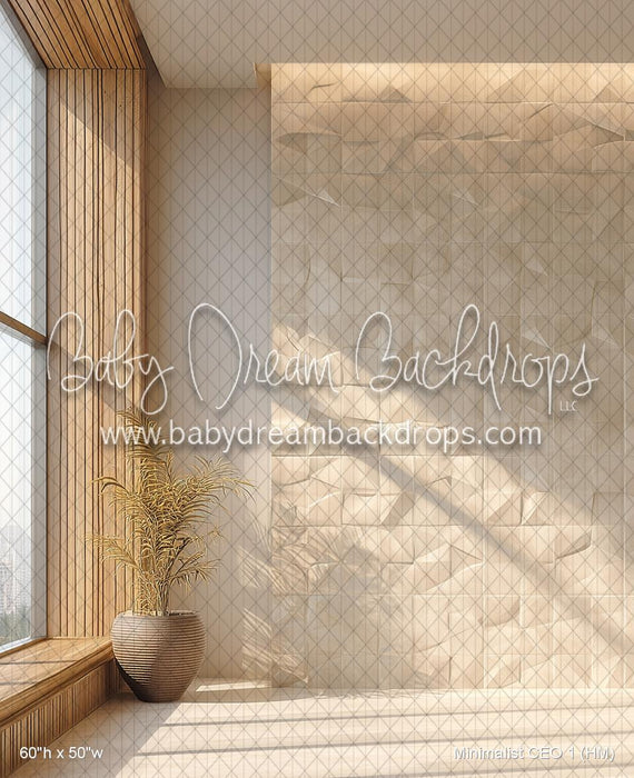 Minimalist CEO 1 (HM)