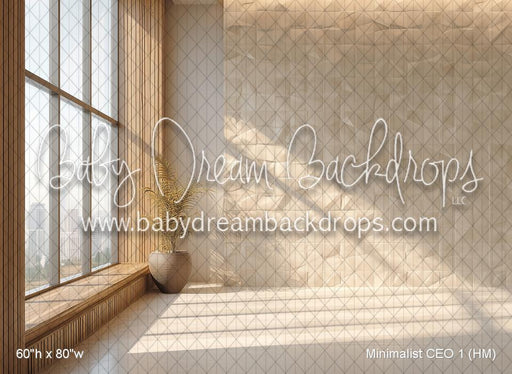 Minimalist CEO 1 (HM)