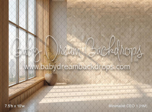 Minimalist CEO 1 (HM)