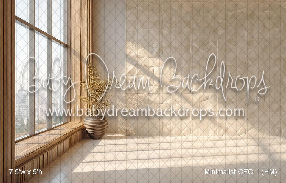 Minimalist CEO 1 (HM)