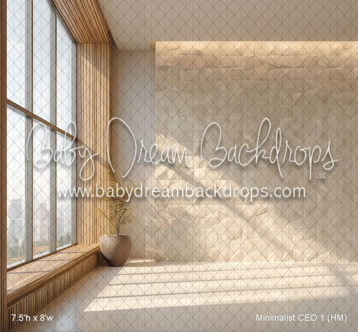 Minimalist CEO 1 (HM)