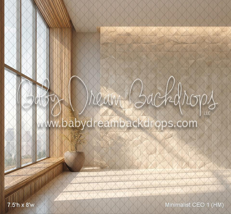 Minimalist CEO 1 (HM)