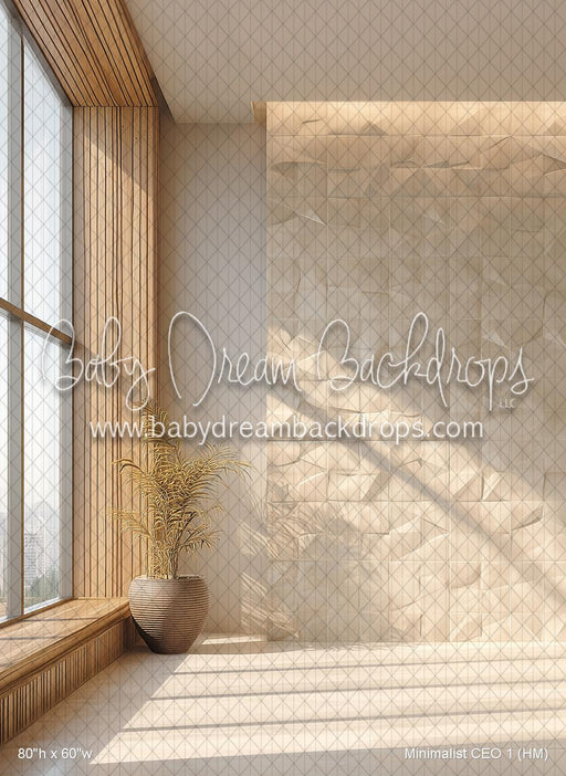 Minimalist CEO 1 (HM)