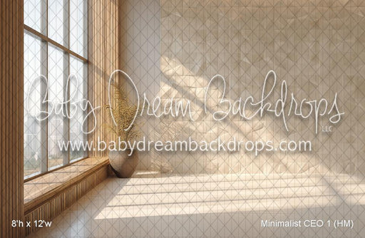 Minimalist CEO 1 (HM)