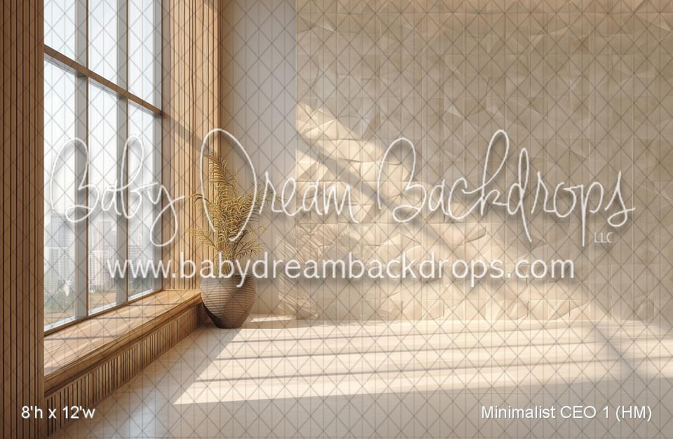 Minimalist CEO 1 (HM)