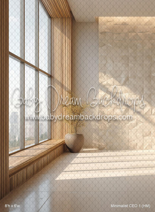 Minimalist CEO 1 (HM)