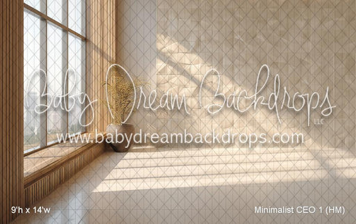 Minimalist CEO 1 (HM)