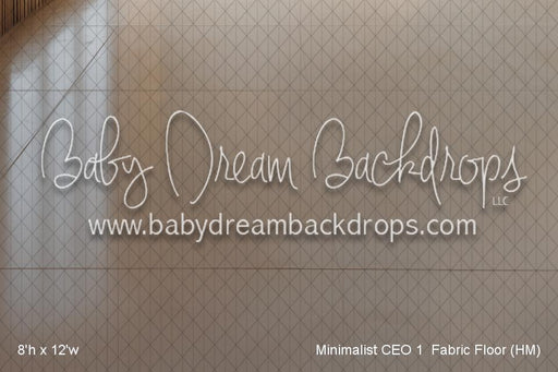 Minimalist CEO 1  Fabric Floor (HM)