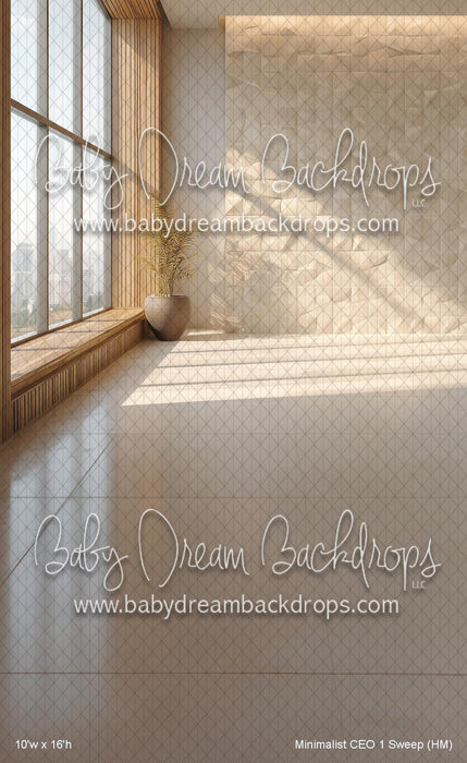 Minimalist CEO 1 Sweep (HM)