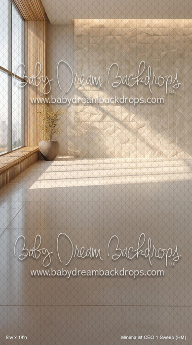 Minimalist CEO 1 Sweep (HM)