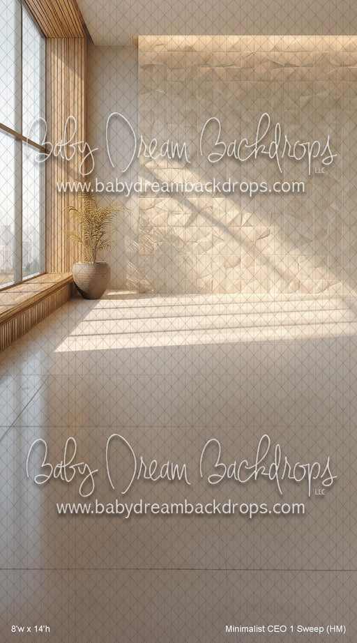 Minimalist CEO 1 Sweep (HM)