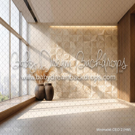 Minimalist CEO 2 (HM)