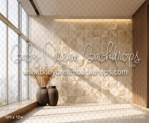 Minimalist CEO 2 (HM)