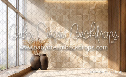 Minimalist CEO 2 (HM)