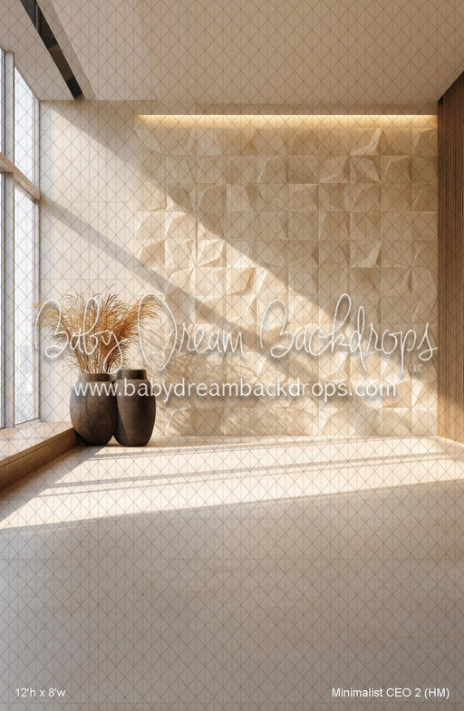 Minimalist CEO 2 (HM)