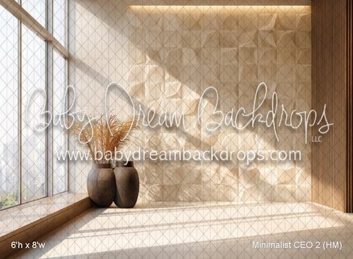 Minimalist CEO 2 (HM)