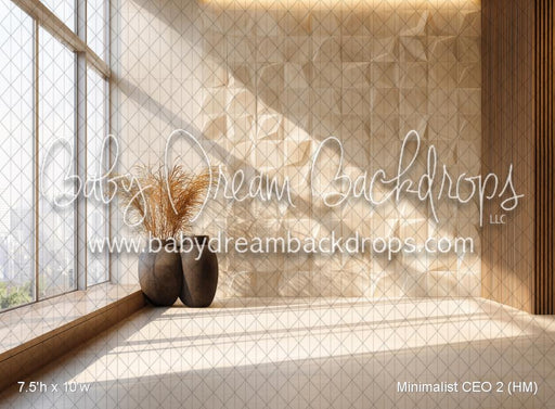 Minimalist CEO 2 (HM)