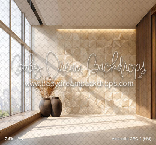 Minimalist CEO 2 (HM)