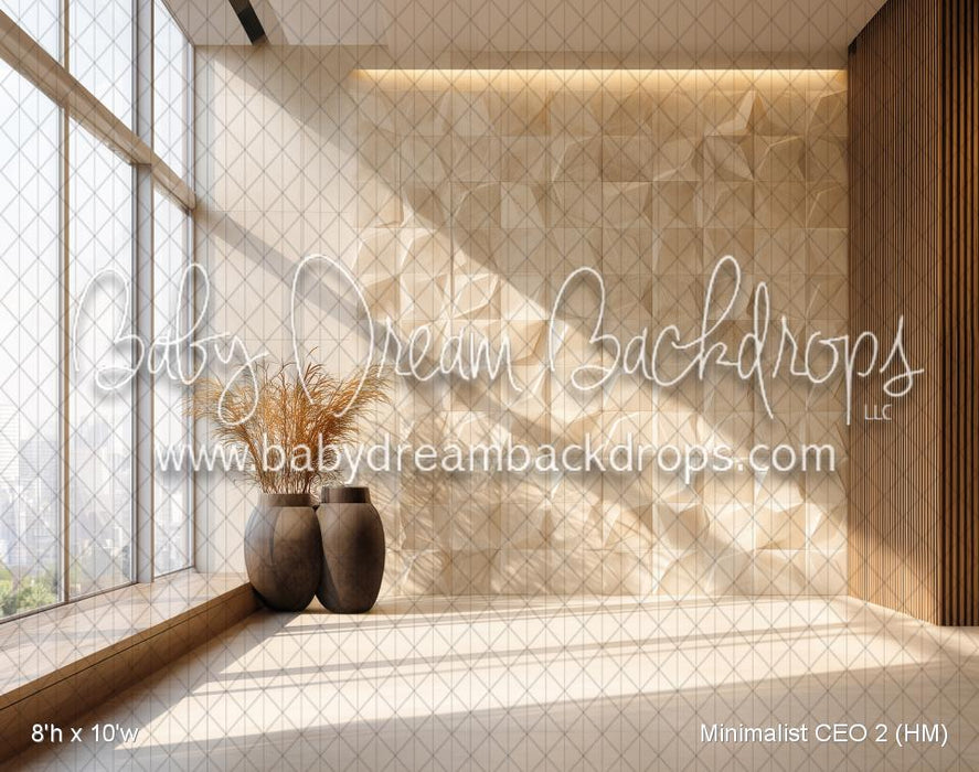 Minimalist CEO 2 (HM)