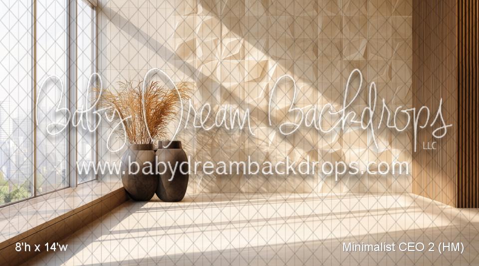 Minimalist CEO 2 (HM)