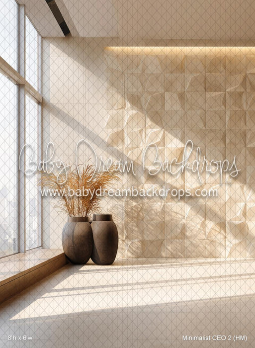 Minimalist CEO 2 (HM)