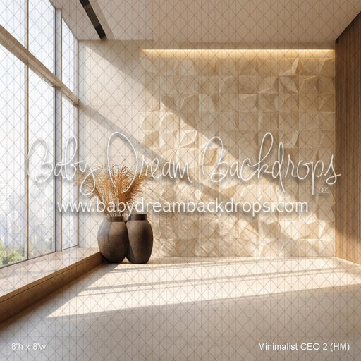 Minimalist CEO 2 (HM)