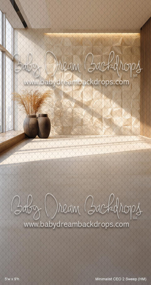 Minimalist CEO 2 Sweep (HM)