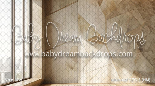 Minimalist CEO 3 (HM)