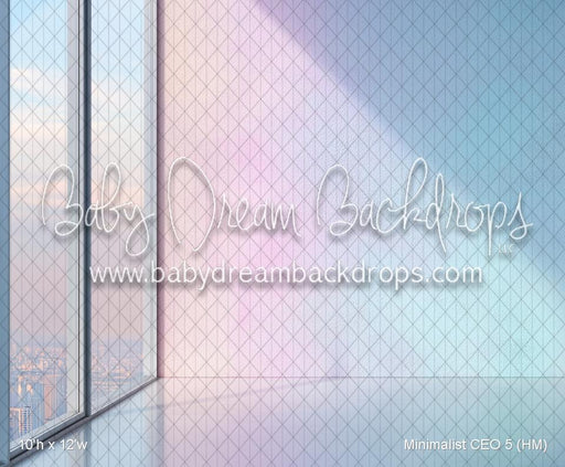 Minimalist CEO 5 (HM)