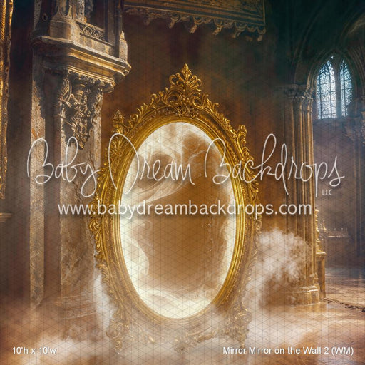 Mirror Mirror on the Wall 2 (WM)