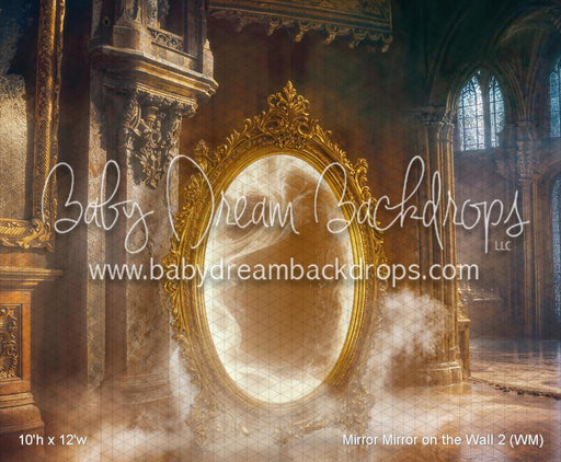 Mirror Mirror on the Wall 2 (WM)