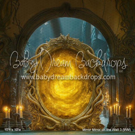 Mirror Mirror on the Wall 3 (WM)