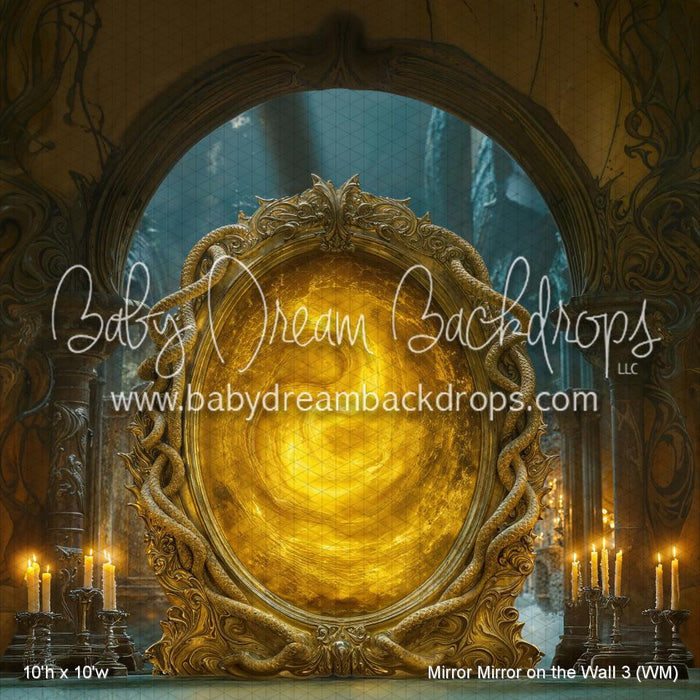 Mirror Mirror on the Wall 3 (WM)