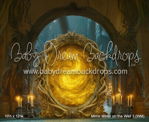 Mirror Mirror on the Wall 3 (WM)